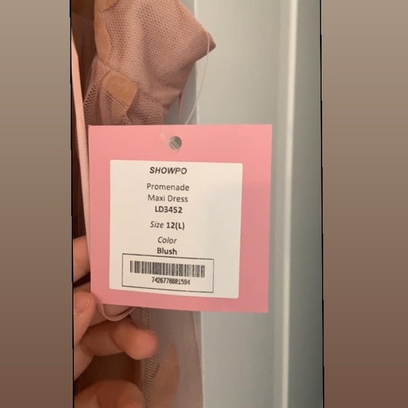 Showpo Promenade Maxi Dress In Blush - Picture 4 of 4